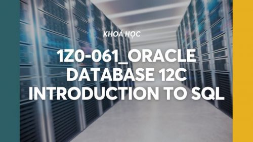 1Z0-061_Oracle Database 12c Introduction to SQL