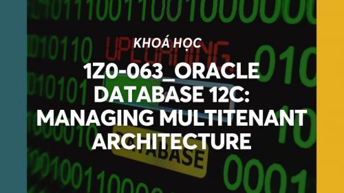1Z0-063_Oracle Database 12c: Managing Multitenant Architecture