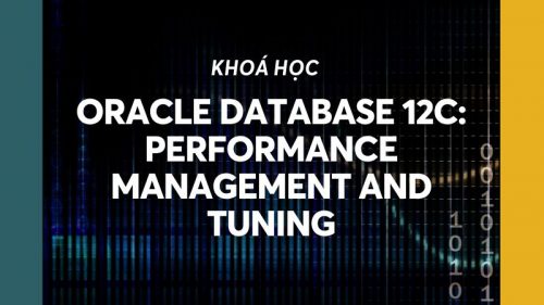 Oracle Database 12c: Performance Management and Tuning