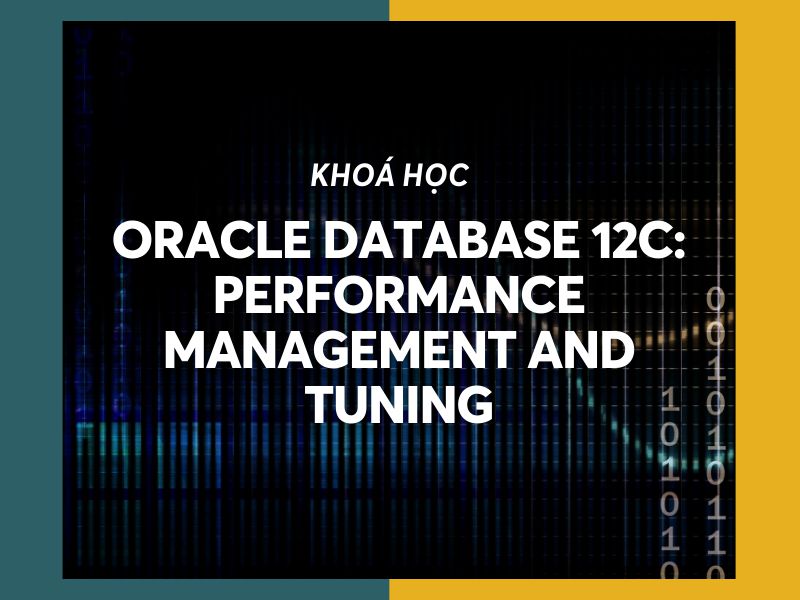 Oracle Database 12c_ Performance Management and Tuning